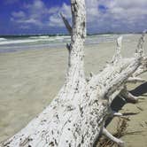 Review photo of Little Talbot Island State Park Campground by Tina L., May 22, 2018