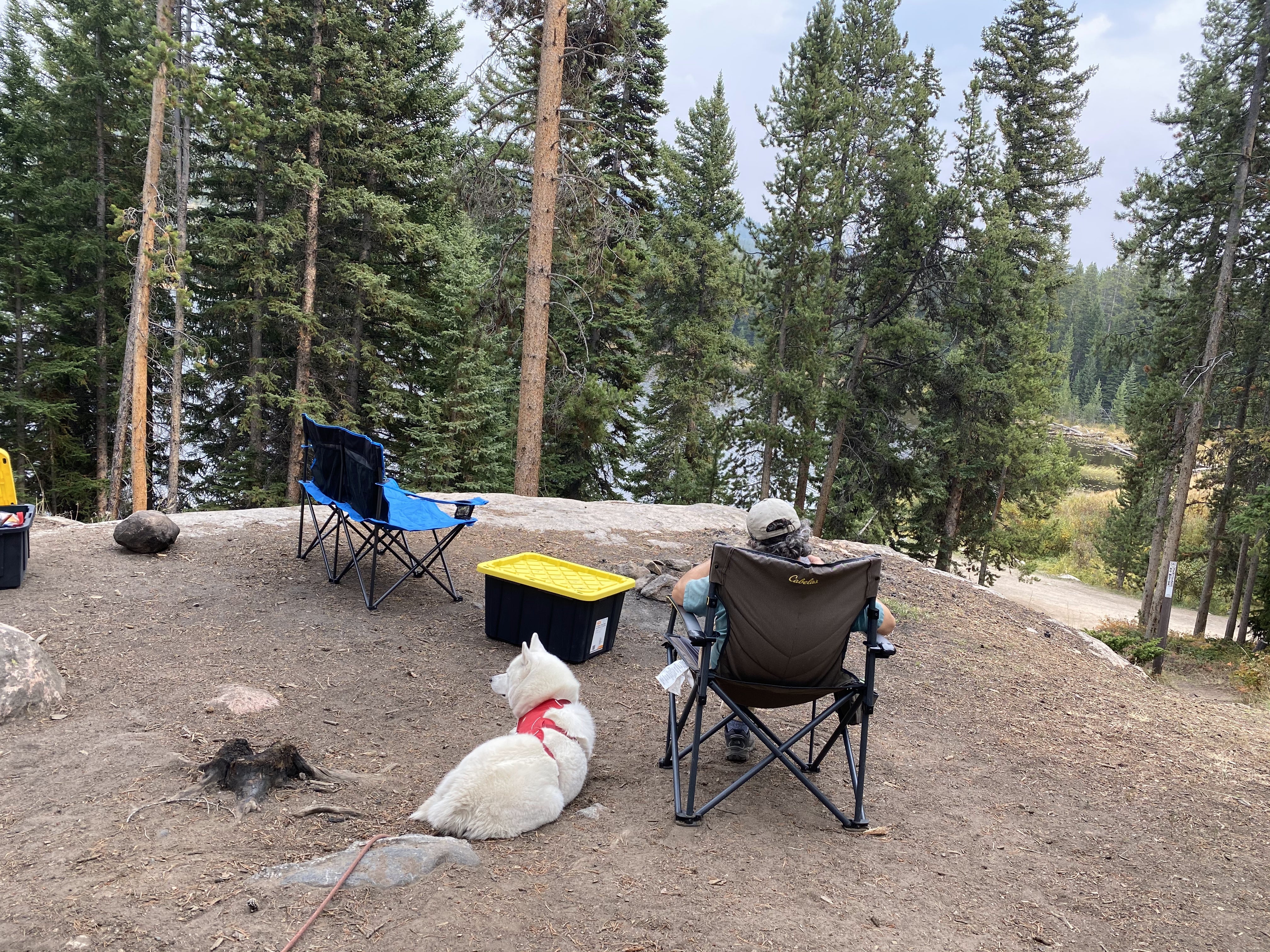 Camper submitted image from Lily Lake - 3