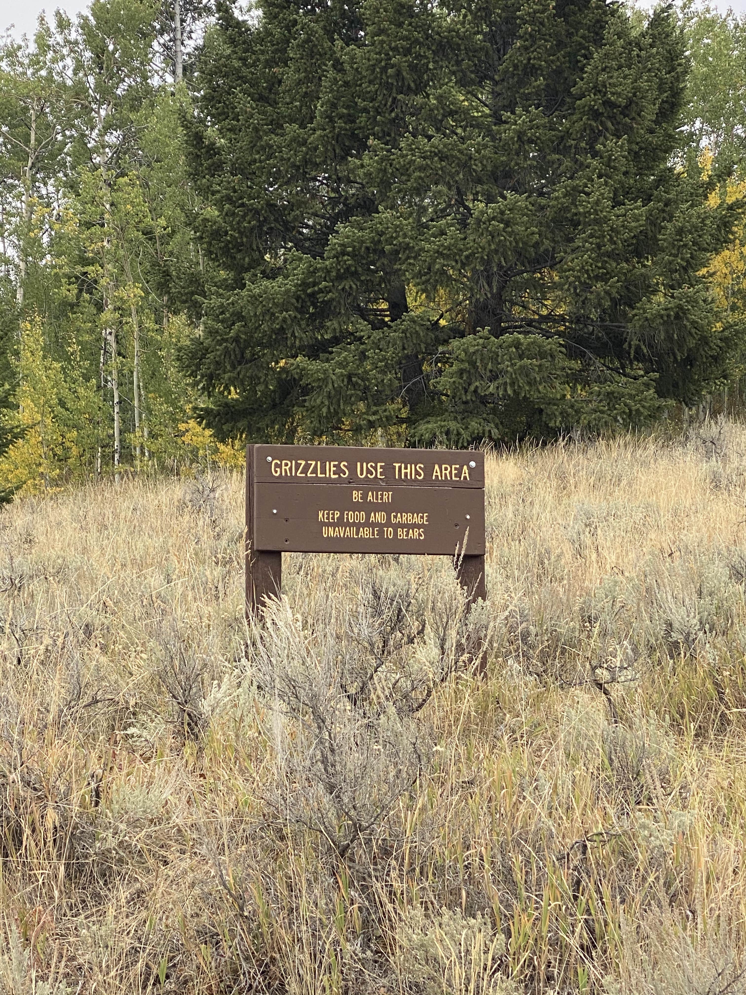 Camper-submitted photo at Lily Lake - TEMPORARILY CLOSED near Cooke City, MT