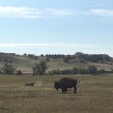 Review photo of Sage Creek Campground by Joseph N., October 27, 2020