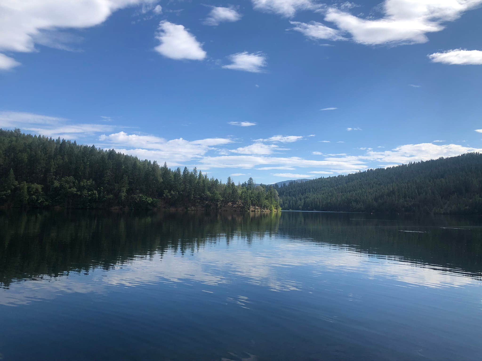 Camper-submitted photo at Cooper Gulch Campground near Lewiston, CA