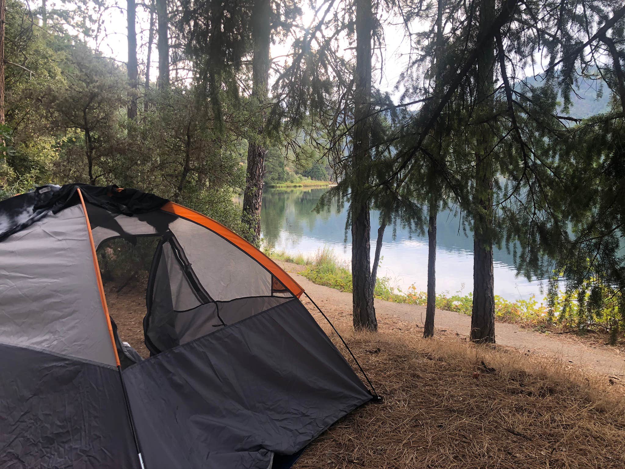 Amethyst R.'s photo at Cooper Gulch Campground near French Gulch, CA