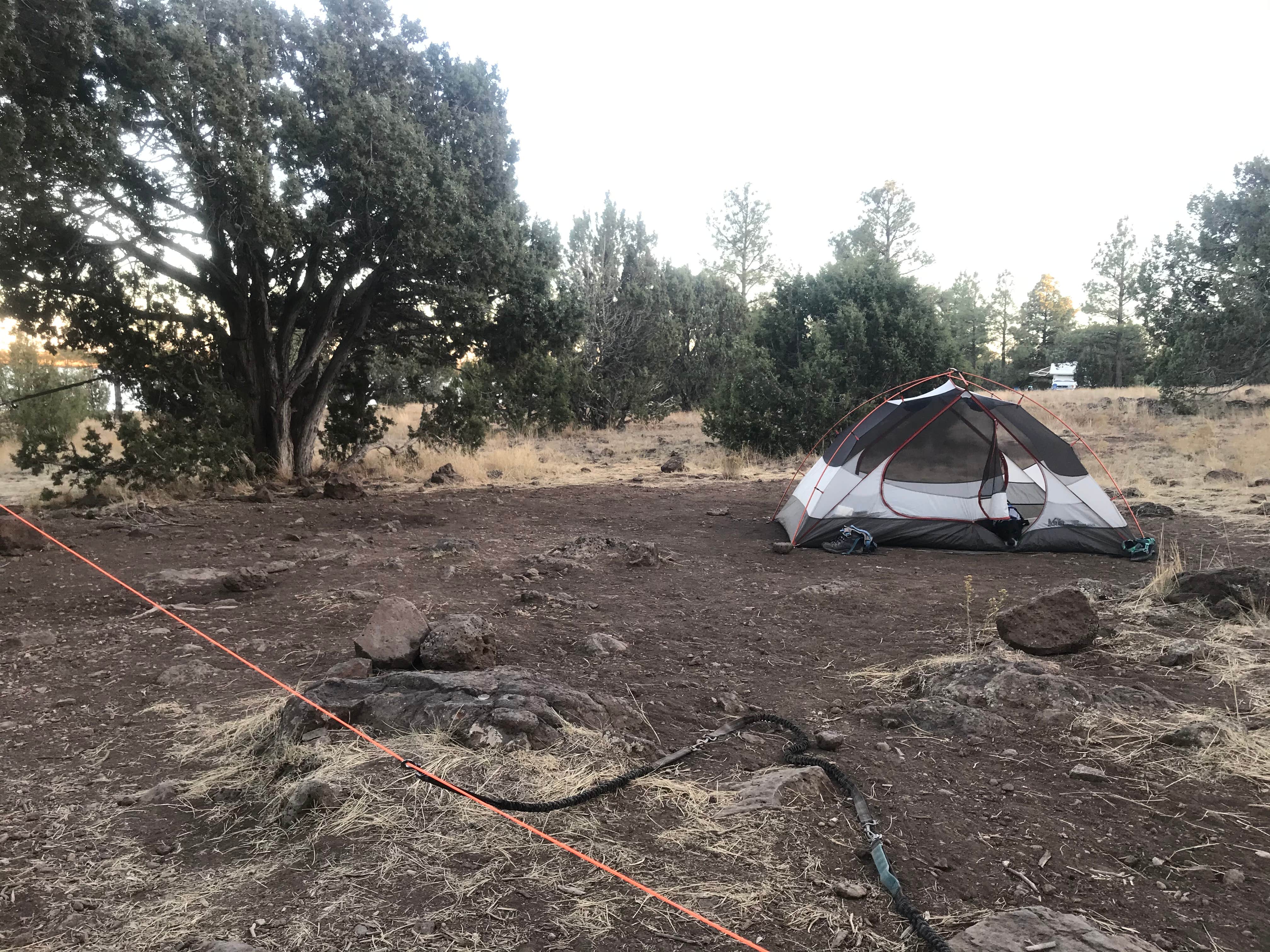 Katie B.'s photo at Ashurst Lake — Coconino National Forest Recreation near Mormon Lake, AZ