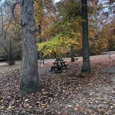 Review photo of Paynetown Campground by Margo B., October 27, 2020