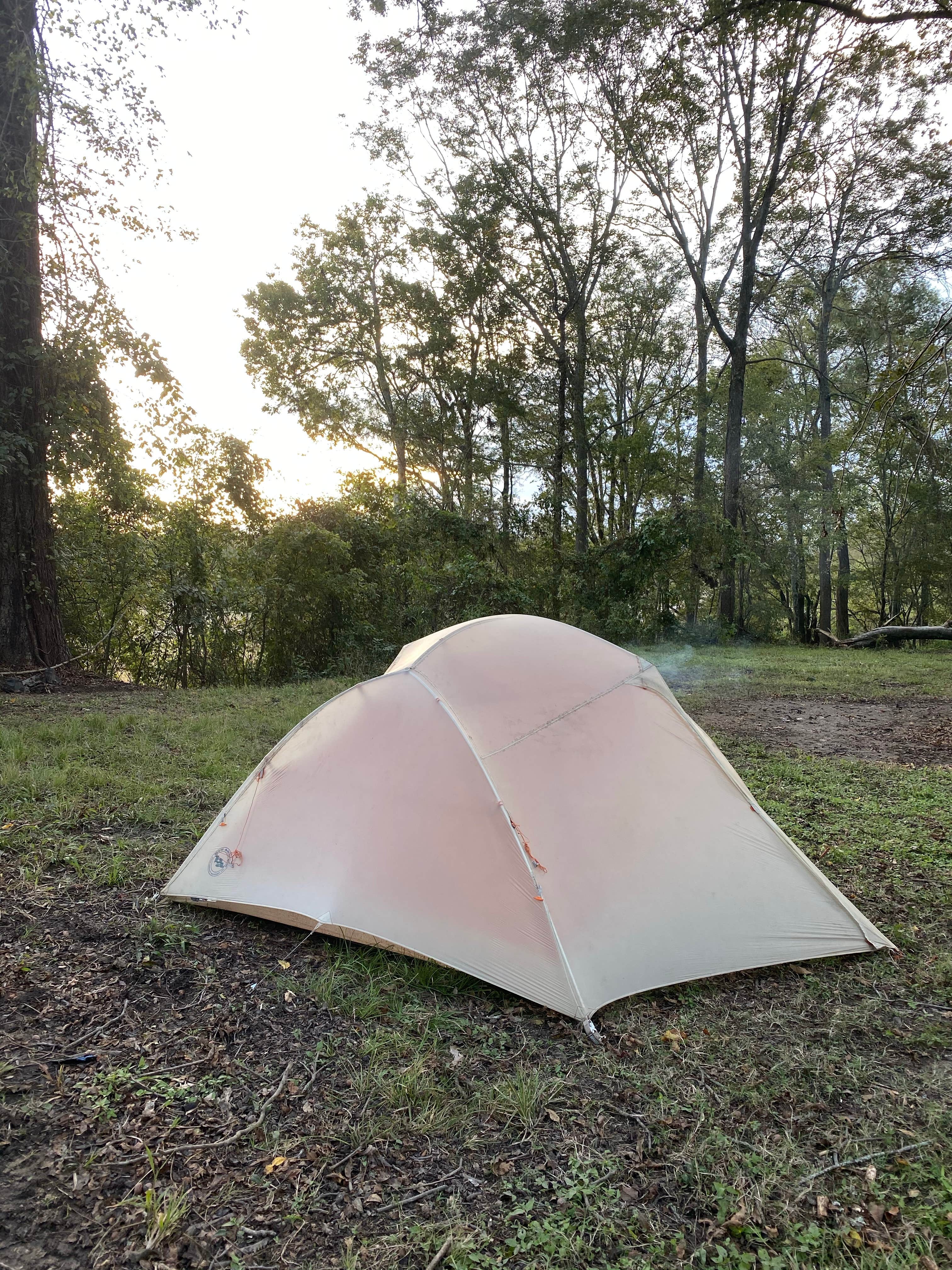 Camper submitted image from Richard K. Yancy Sand Levee Campground - 3