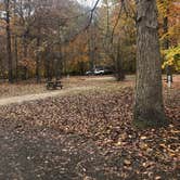 Review photo of Paynetown Campground by Margo B., October 27, 2020