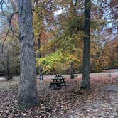 Review photo of Paynetown Campground by Margo B., October 27, 2020