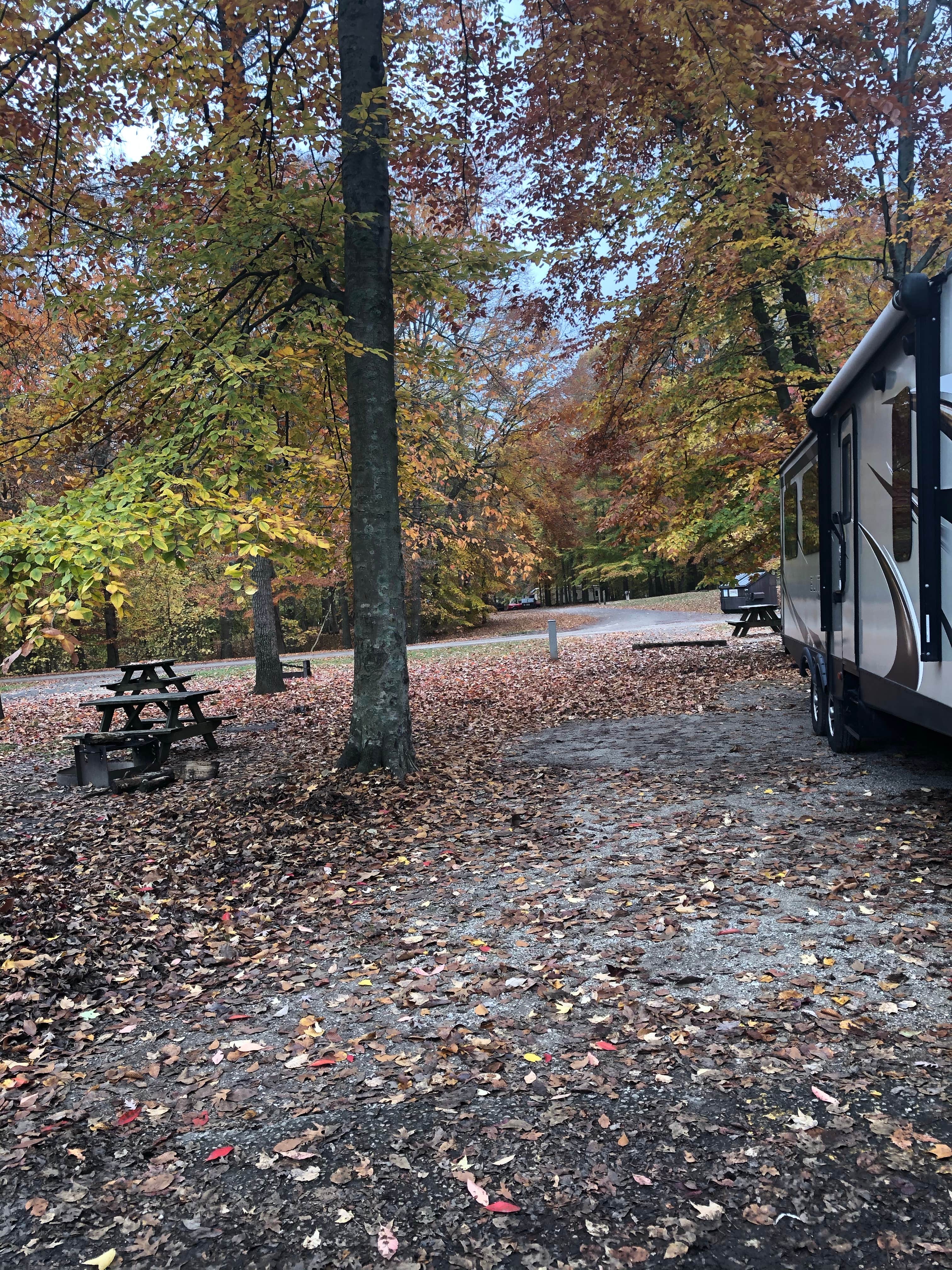 Margo B.'s photo of rv camping at Paynetown Campground near Avon, IN