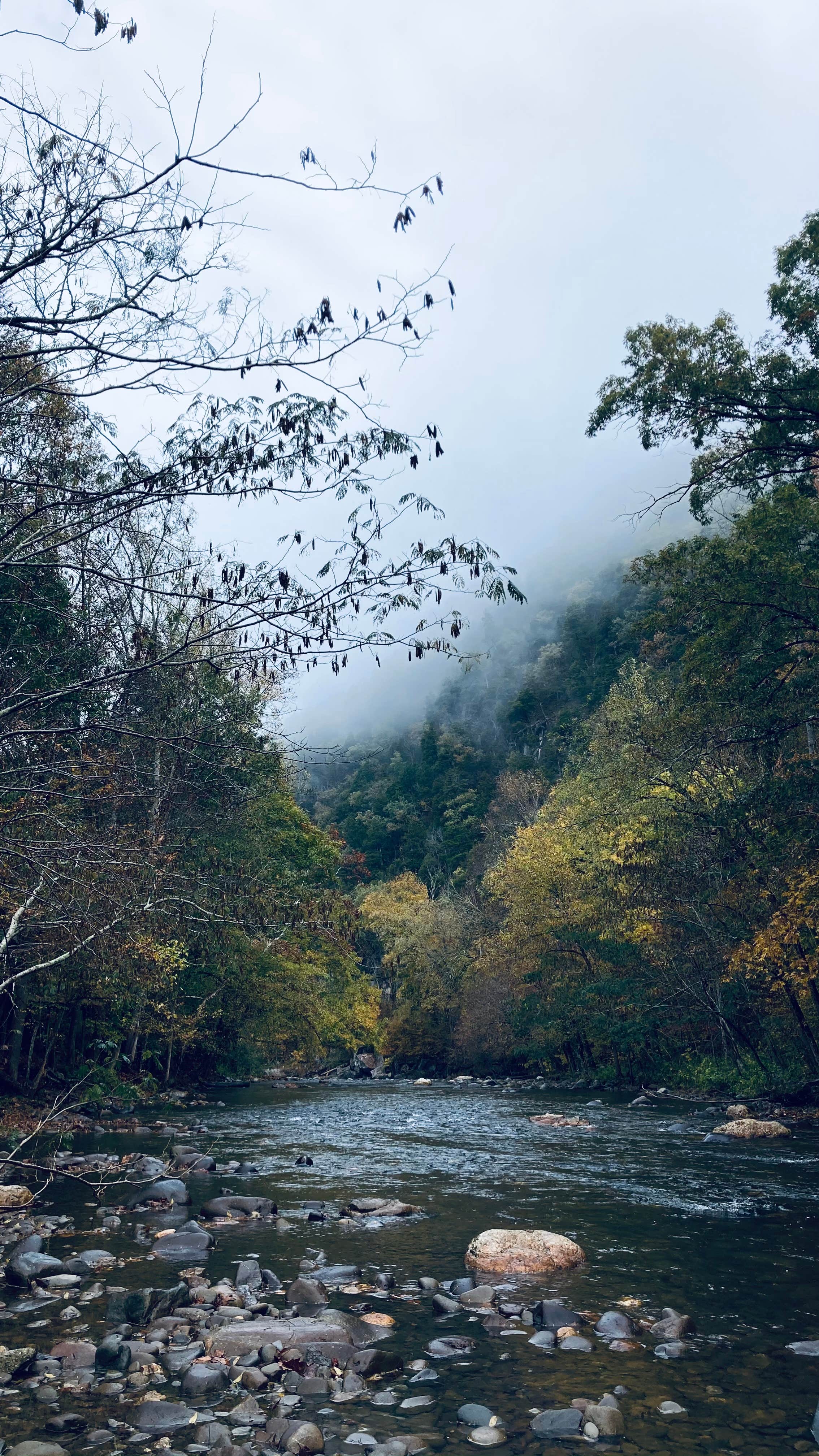 Camping near Bote Mountain Campsite 18 — Great Smoky Mountains National Park: Lazy Daze Campground, Townsend, Tennessee