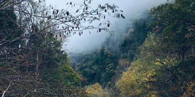 Camper submitted image from Lazy Daze Campground