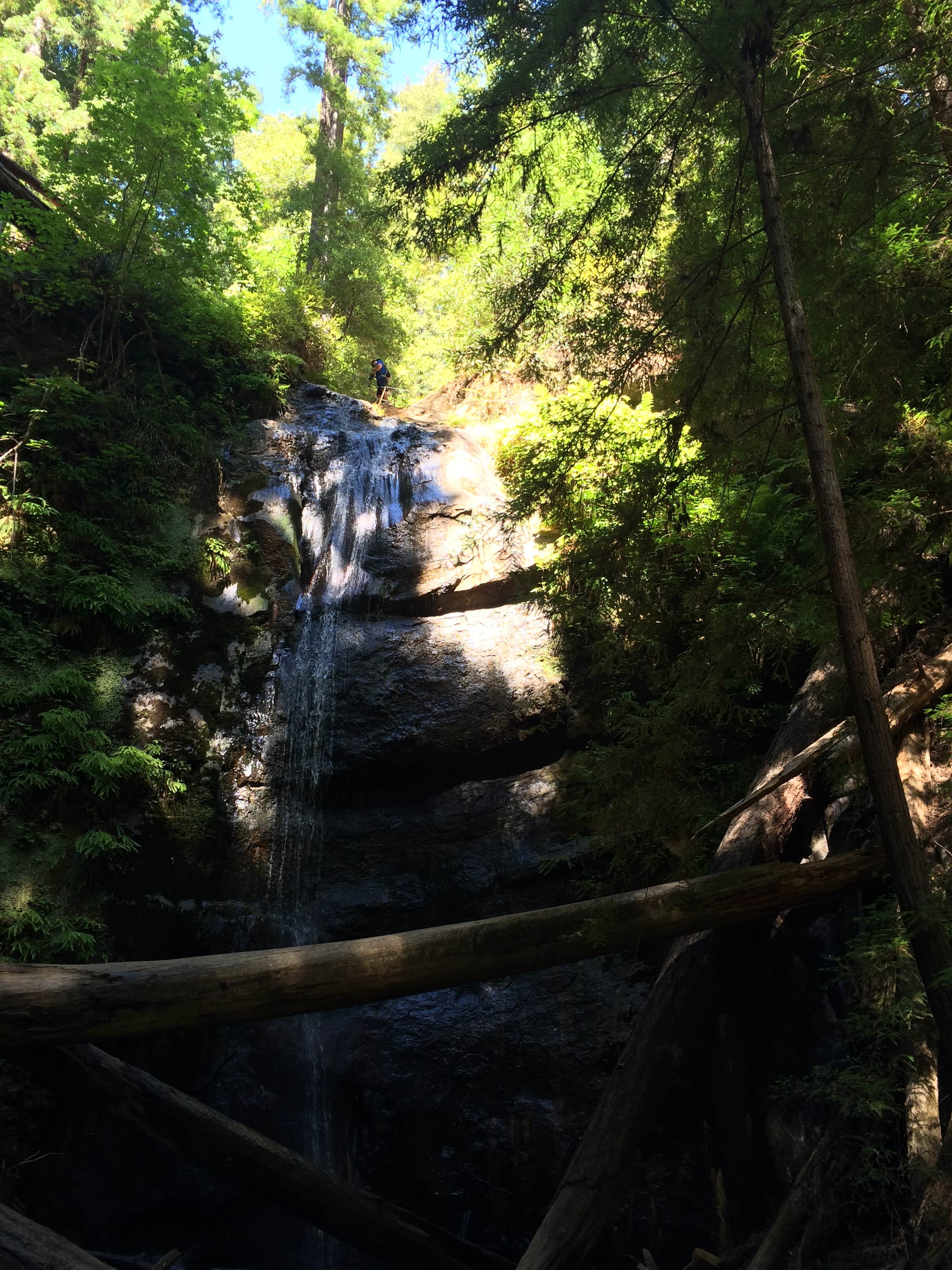 Camper submitted image from Lower Blooms Creek — Big Basin Redwoods State Park — CAMPGROUND CLOSED - 5
