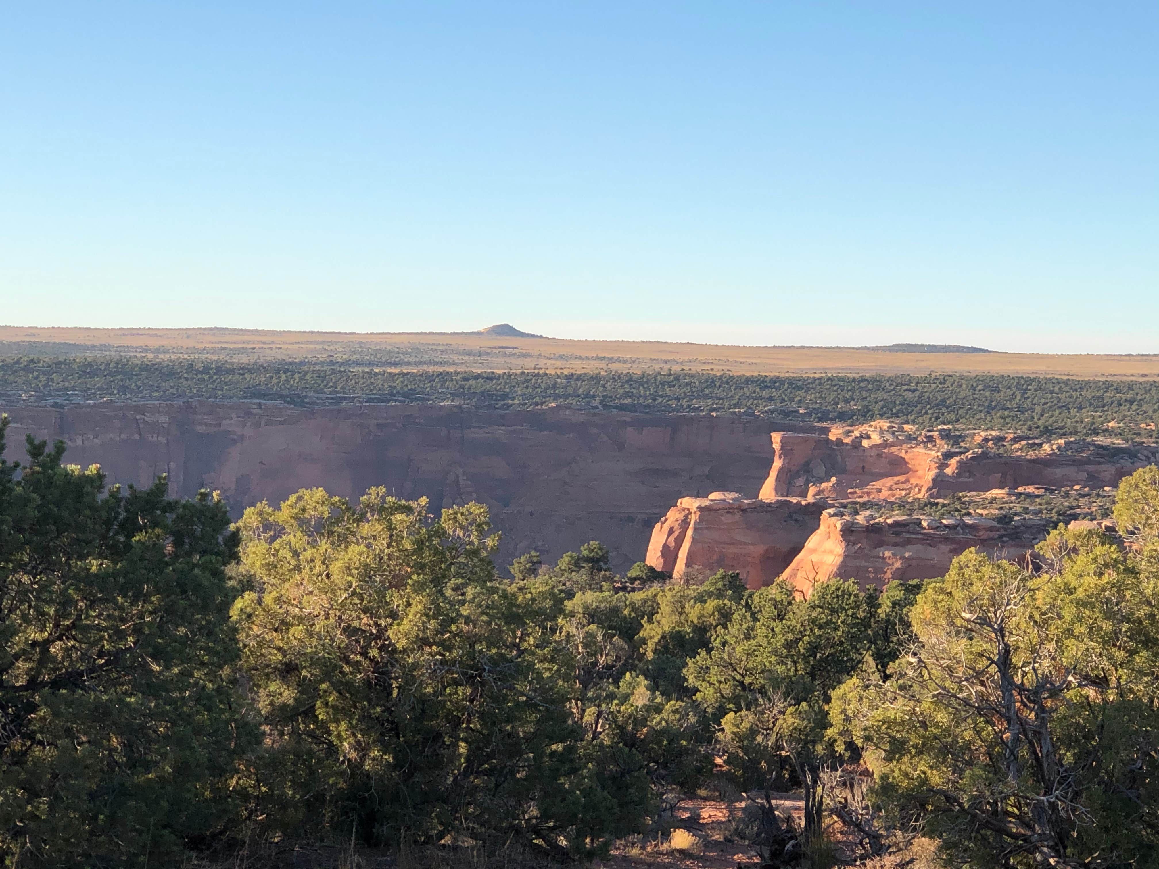 Camper-submitted photo at Wingate Campground — Dead Horse Point State Park near Moab, UT