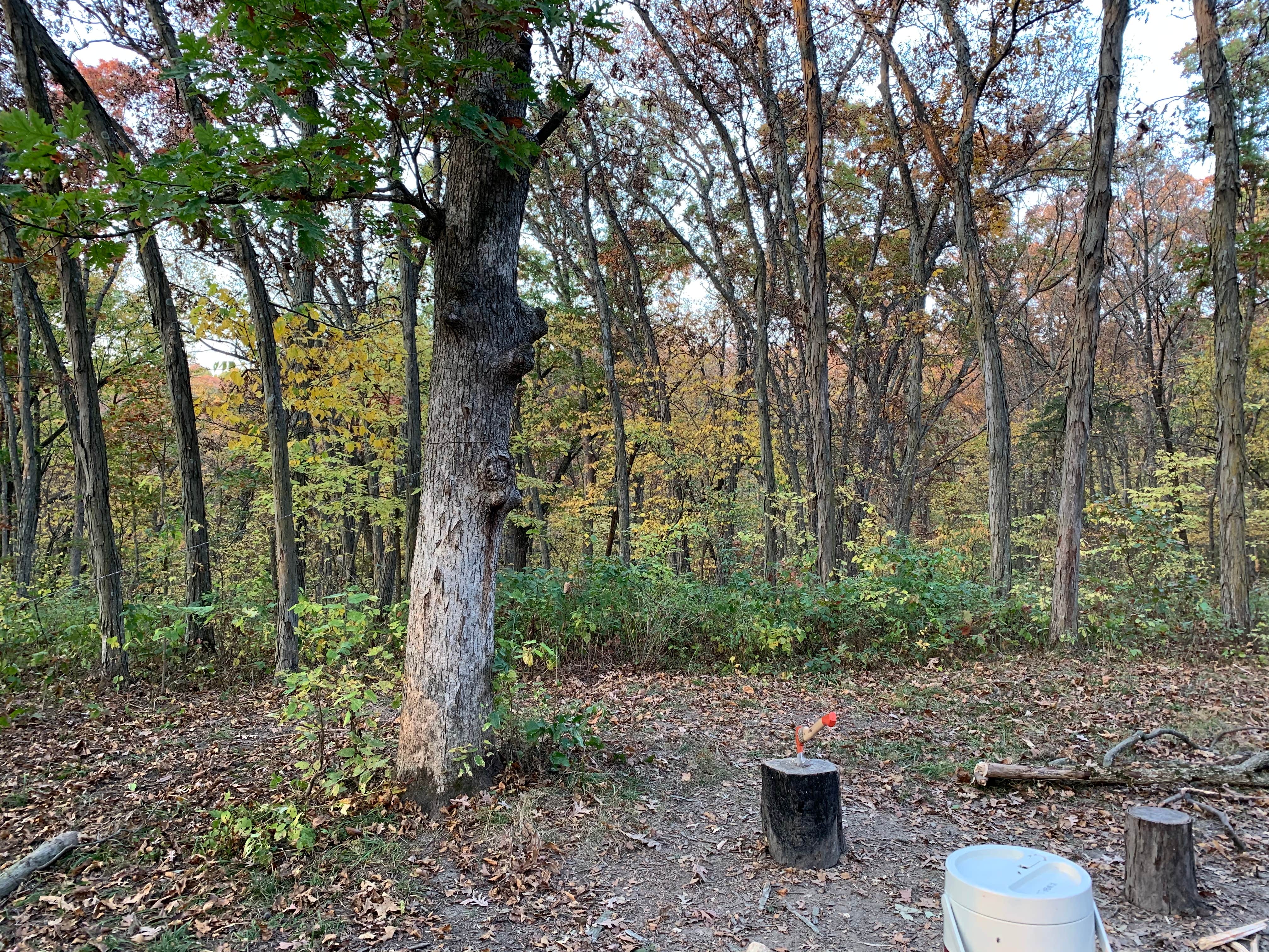 Camper-submitted photo at Middle Area Campground — Stephens State Forest near Woodburn, IA