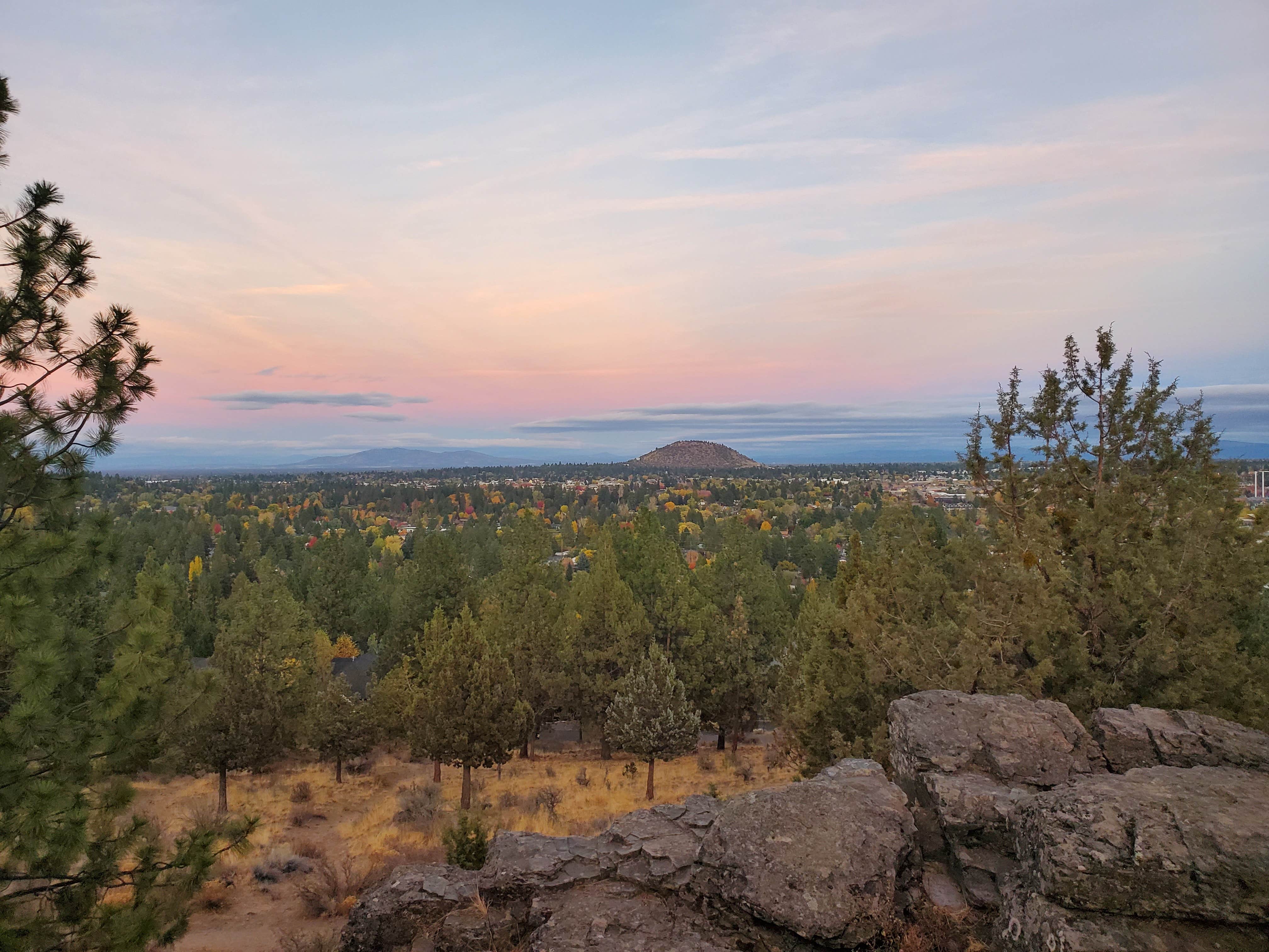 View All