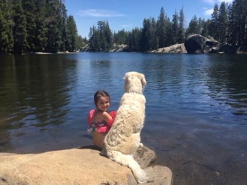 Liz C.'s photo of camping with pets at Utica Campgrounds near Stanislaus National Forest