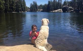 Liz C.'s photo of camping with pets at Utica Campgrounds near Stanislaus National Forest