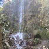 Review photo of Colorado Bend State Park Campground by Nicollette , October 27, 2020