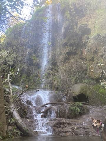 Camper submitted image from Colorado Bend State Park Campground - 1