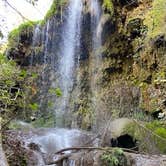 Review photo of Colorado Bend State Park Campground by Nicollette , October 27, 2020