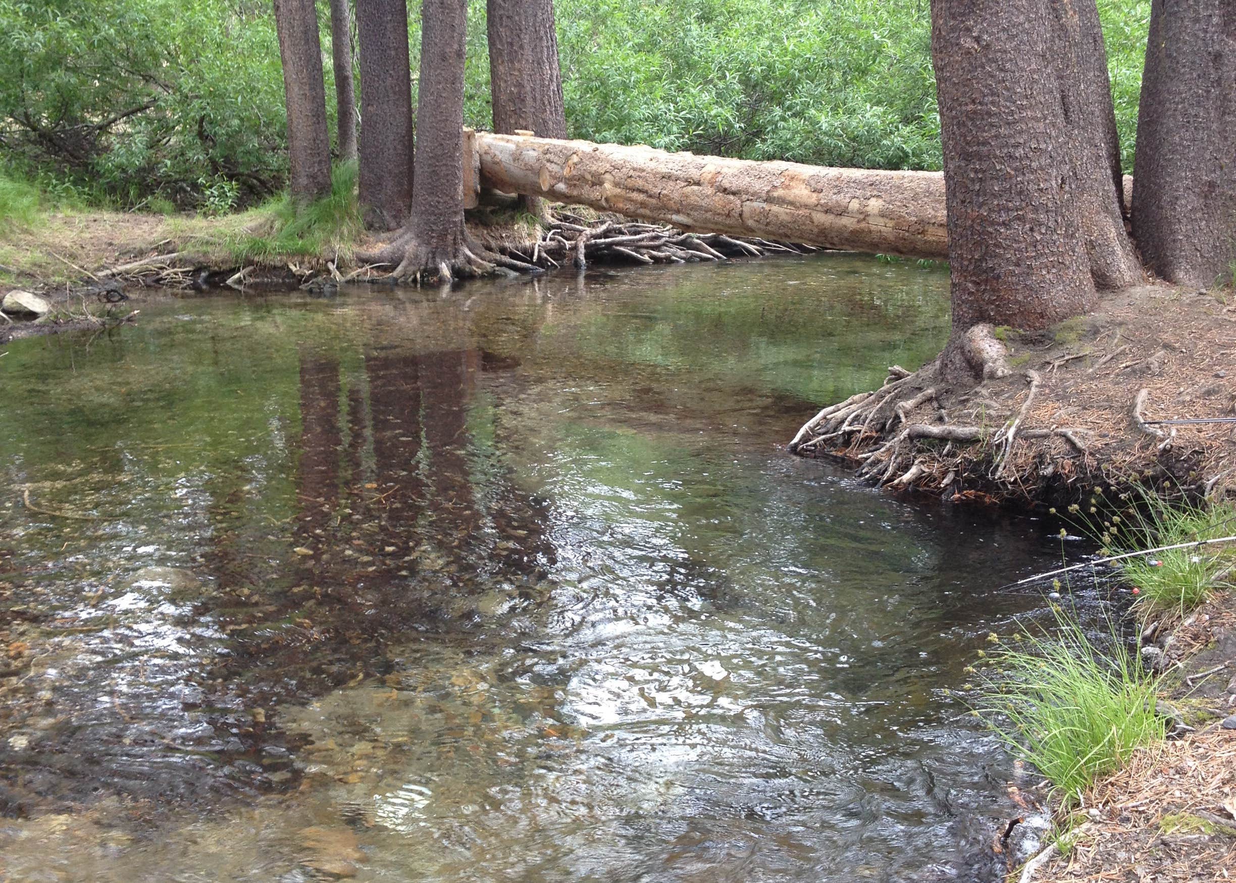 Upper Deadman Campground Camping The Dyrt