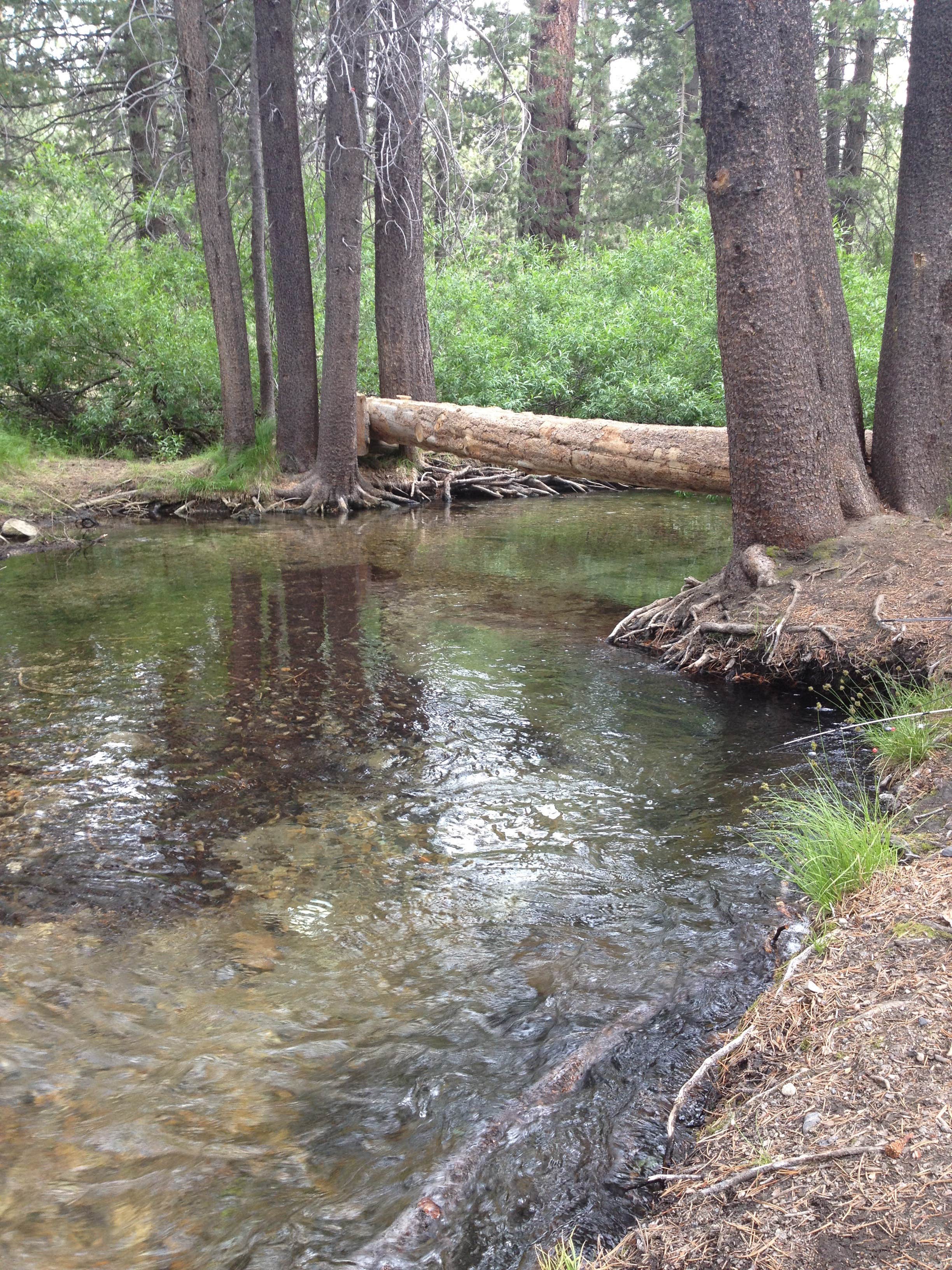 Camper submitted image from Upper Deadman Campground - 2