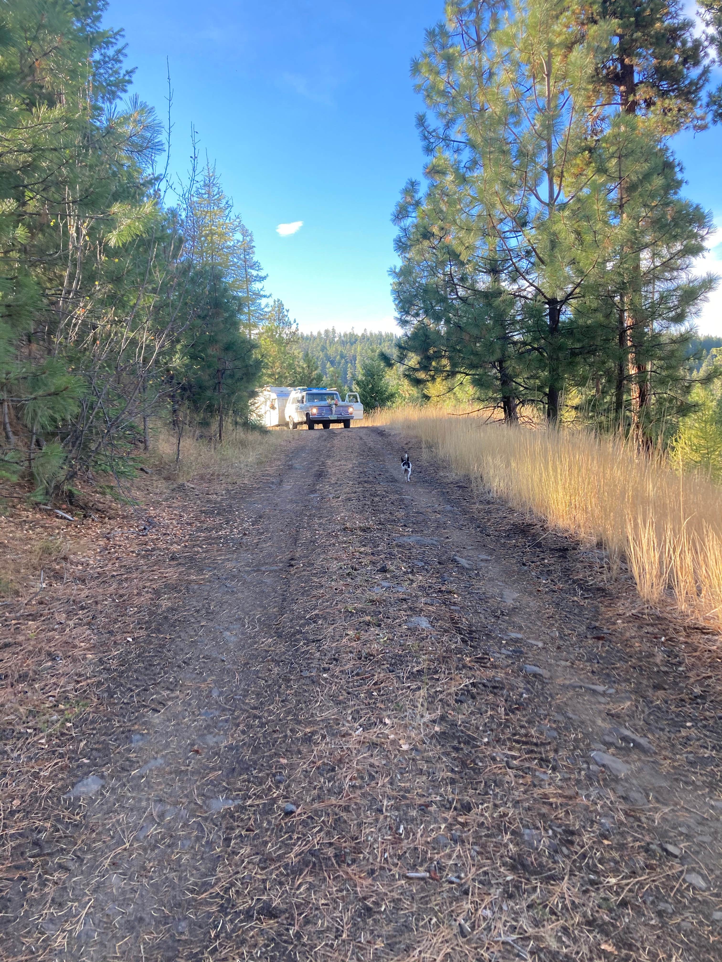 Camper-submitted photo at Ochoco National Forest near Kimberly, OR