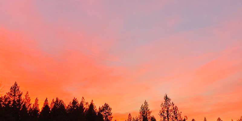 Camper submitted image from Ochoco National Forest