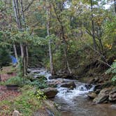 Review photo of Creekside Mountain Camping by Michele W., October 27, 2020