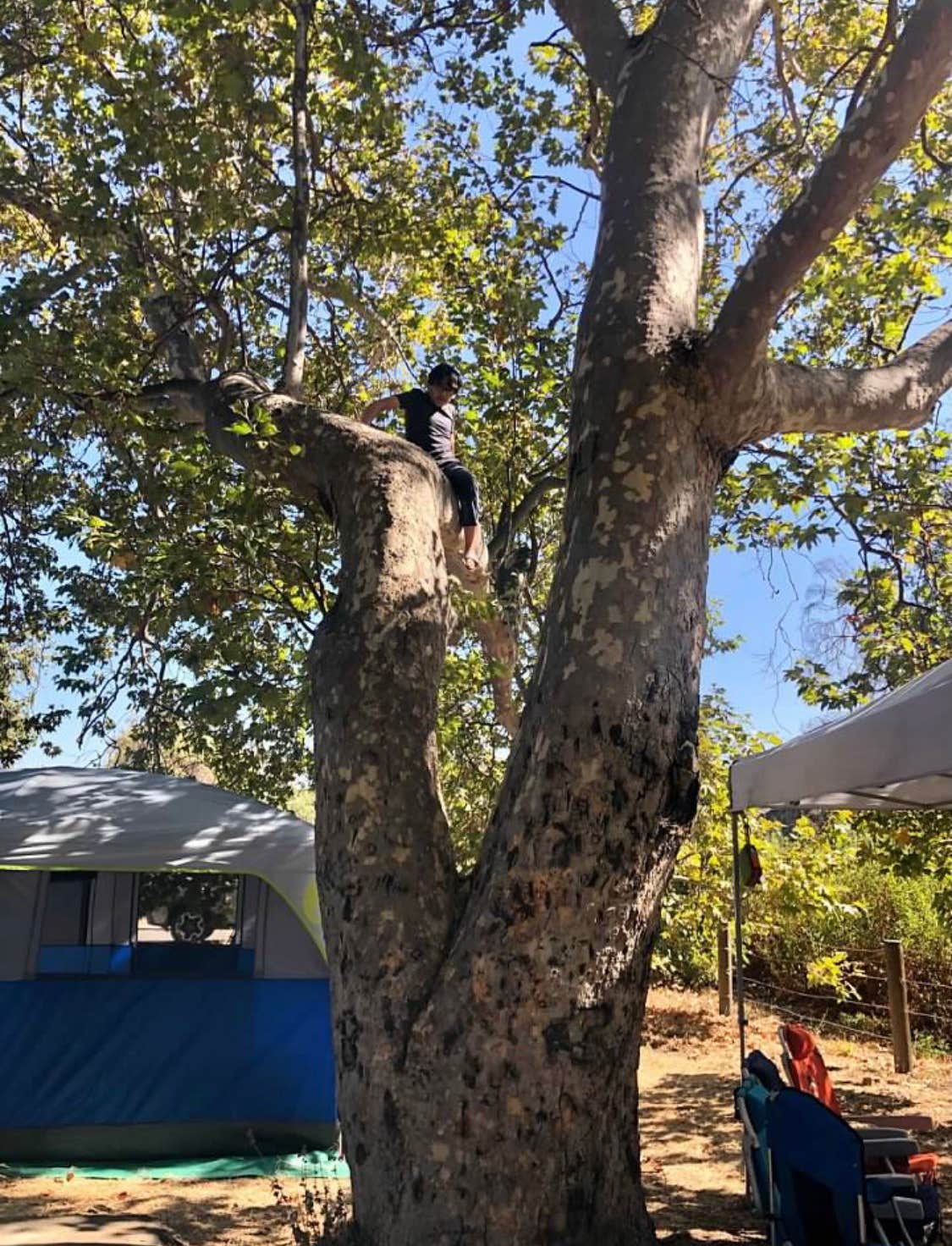 Yvonne P.'s photo at Canyon Campground — Leo Carrillo State Park Campground near Calabasas, CA
