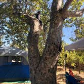 Review photo of Canyon Campground — Leo Carrillo State Park Campground by Yvonne P., October 27, 2020