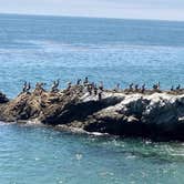 Review photo of Leo Carrillo State Park by Yvonne P., October 27, 2020