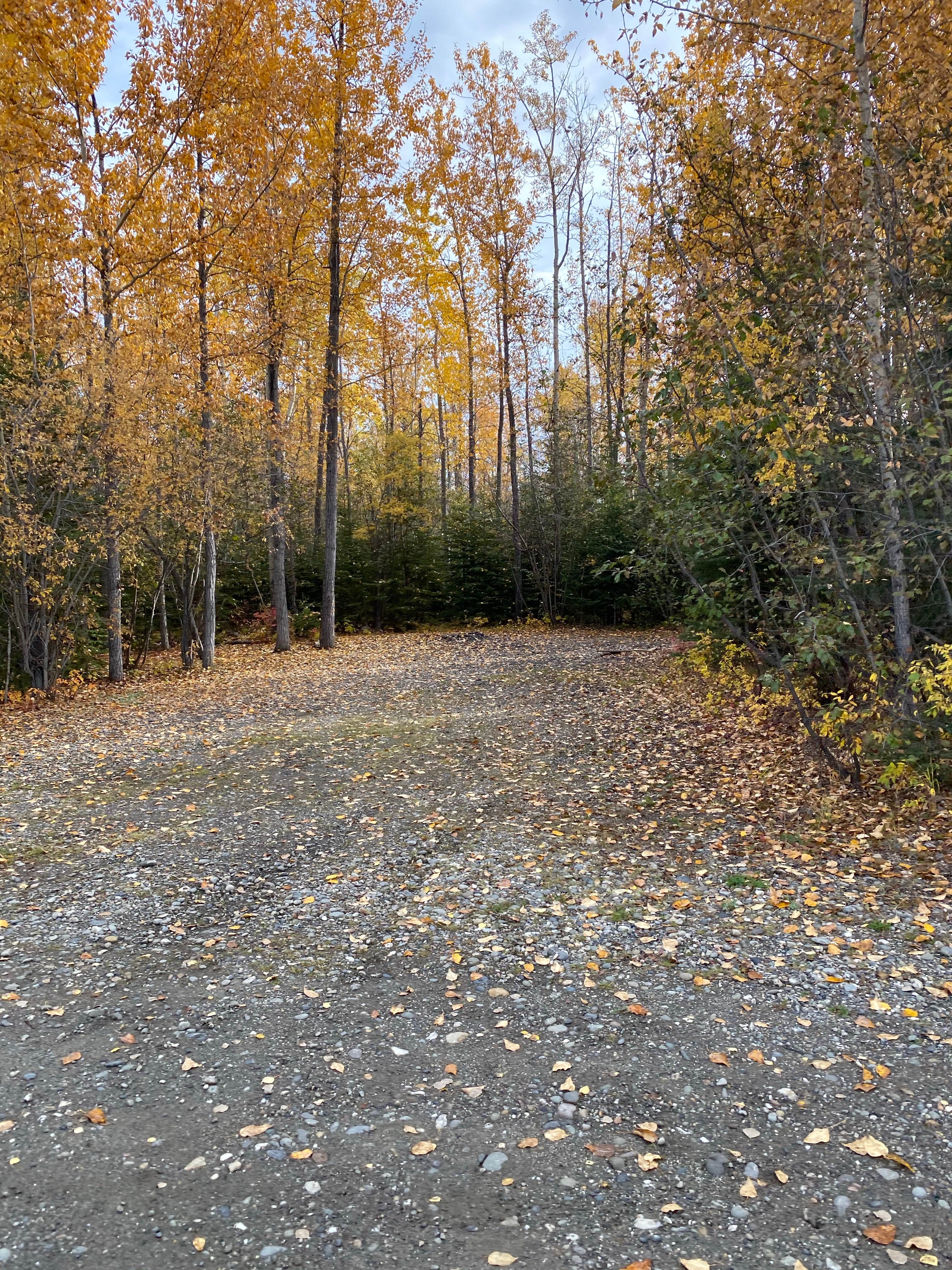 Camper-submitted photo at Riverside Park - Anderson City Campground near Nenana, AK