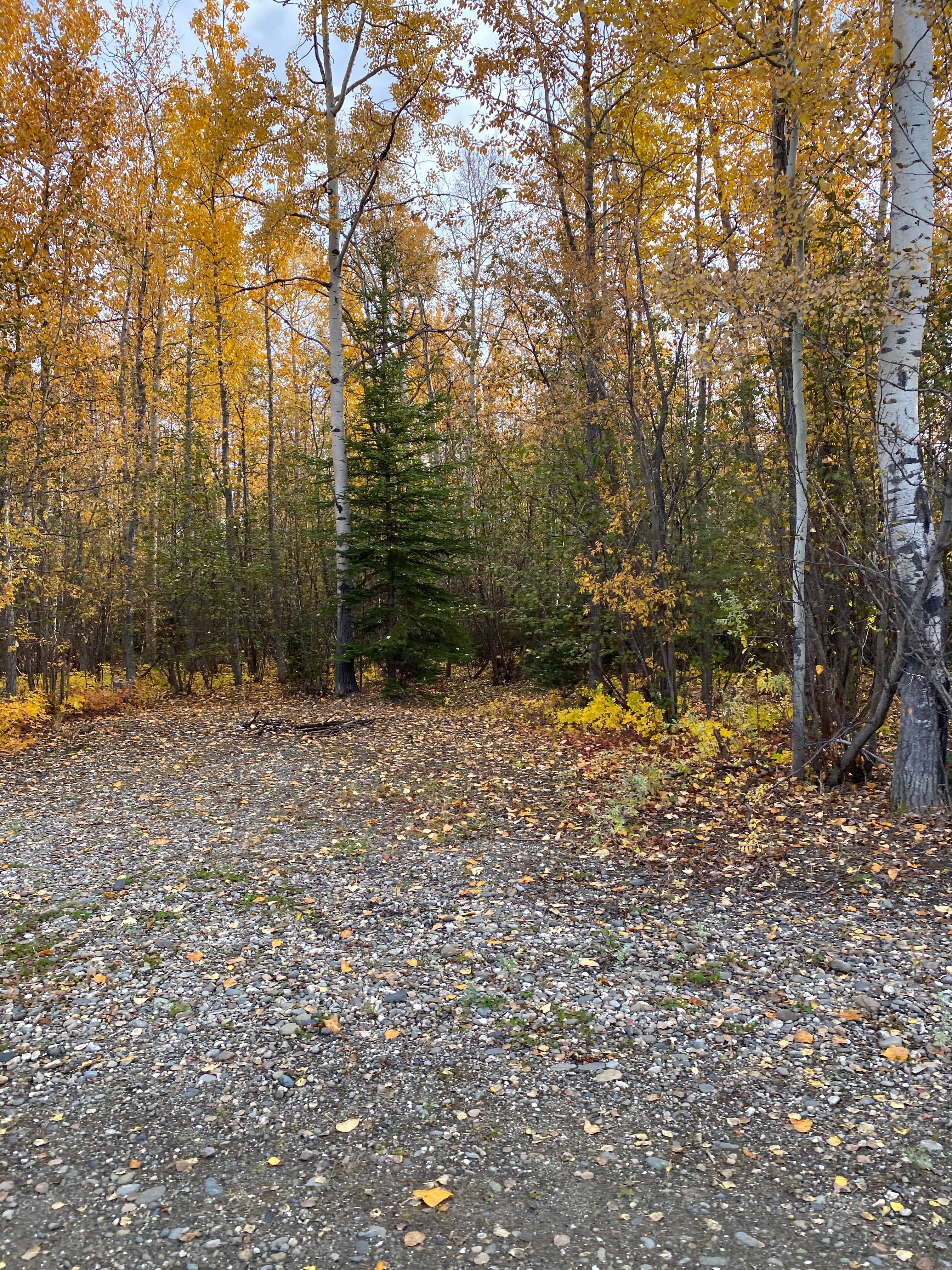 Camper-submitted photo at Riverside Park - Anderson City Campground near Nenana, AK