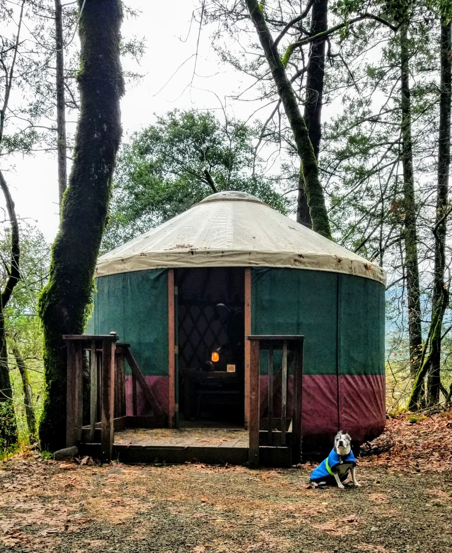 Outside the yurt