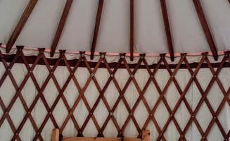 Julie D.'s photo of glamping accommodations at Ritchey Creek Campground — Bothe-Napa Valley State Park near Cazadero, CA