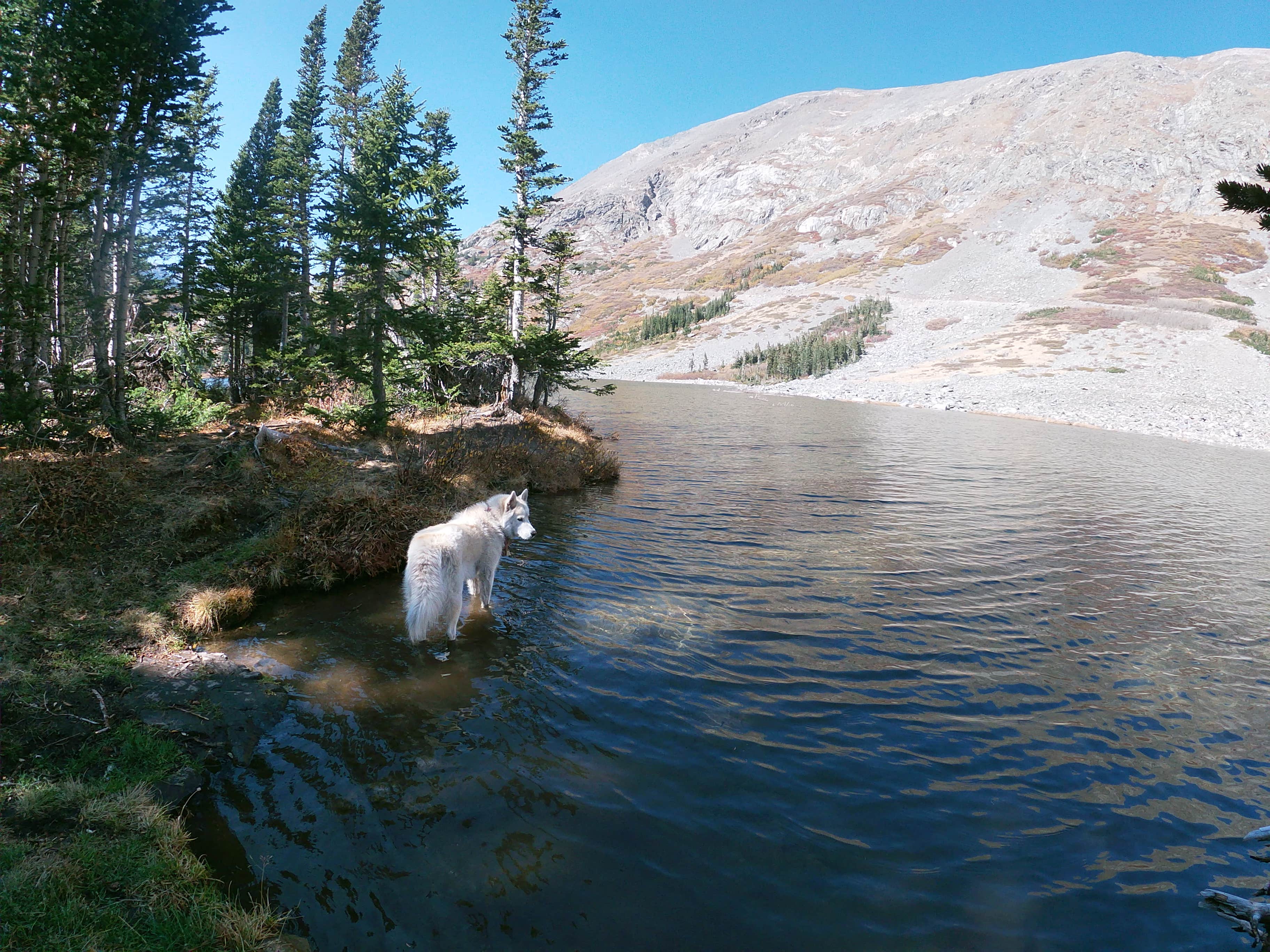 Blue Lake Campground - Temporarily Closed