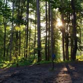 Review photo of Ransburg Scout Reservation by Margo B., October 27, 2020