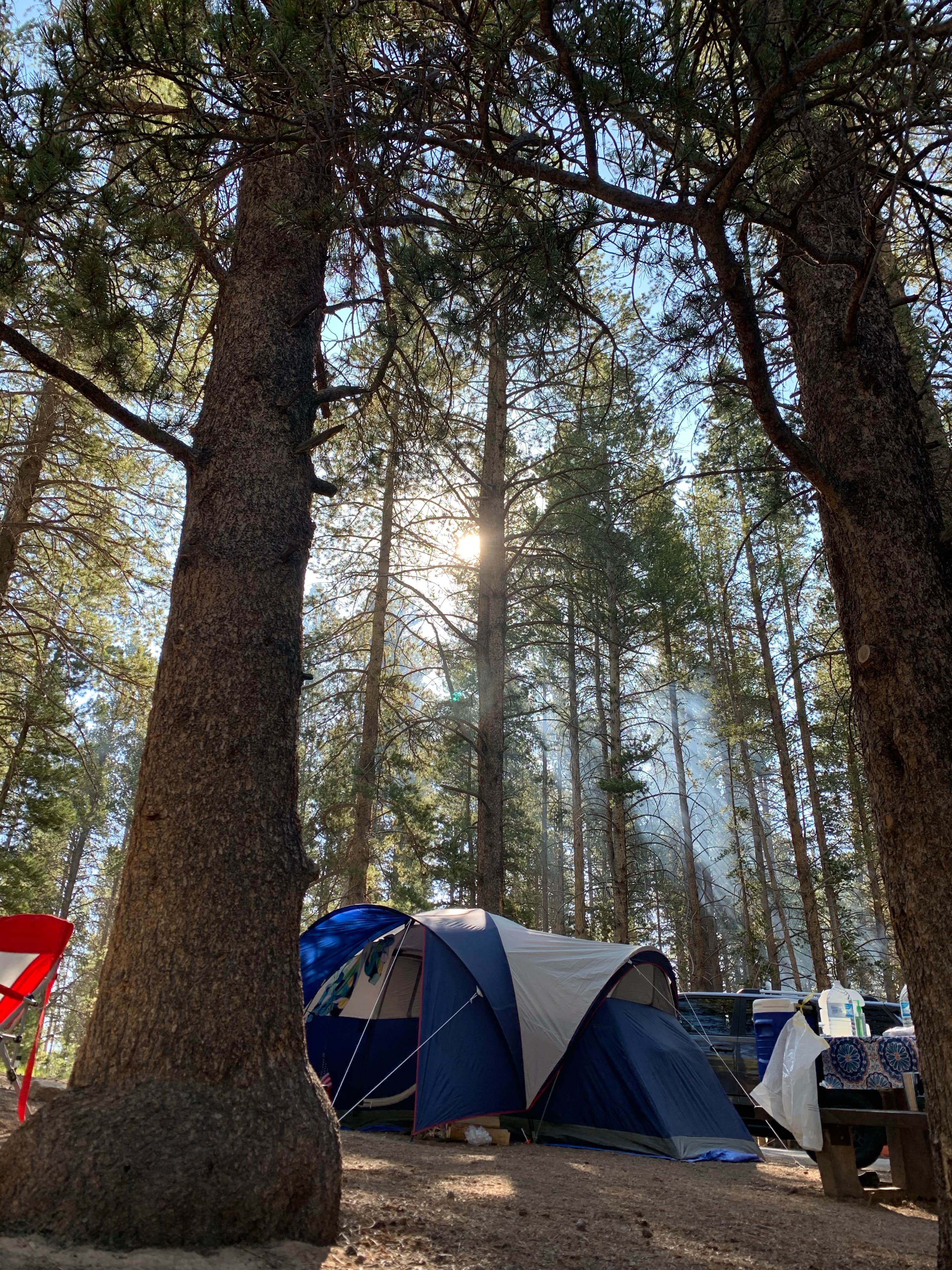 Ann M.'s photo at Silver Dollar near Leadville, CO