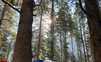 Ann M.'s photo at Silver Dollar near Leadville, CO