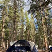 Review photo of Silver Dollar by Ann M., October 27, 2020