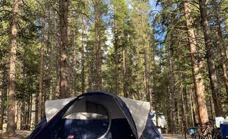 Ann M.'s photo at Silver Dollar near Leadville, CO