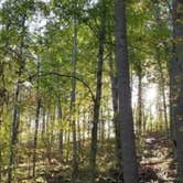 Review photo of Yellowwood State Forest by Margo B., October 27, 2020