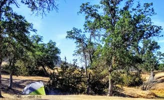 Julie D.'s photo at East Park Reservoir near Glenn, CA