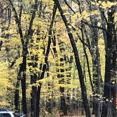 Review photo of High Cliff State Park Campground by Charles M., October 27, 2020