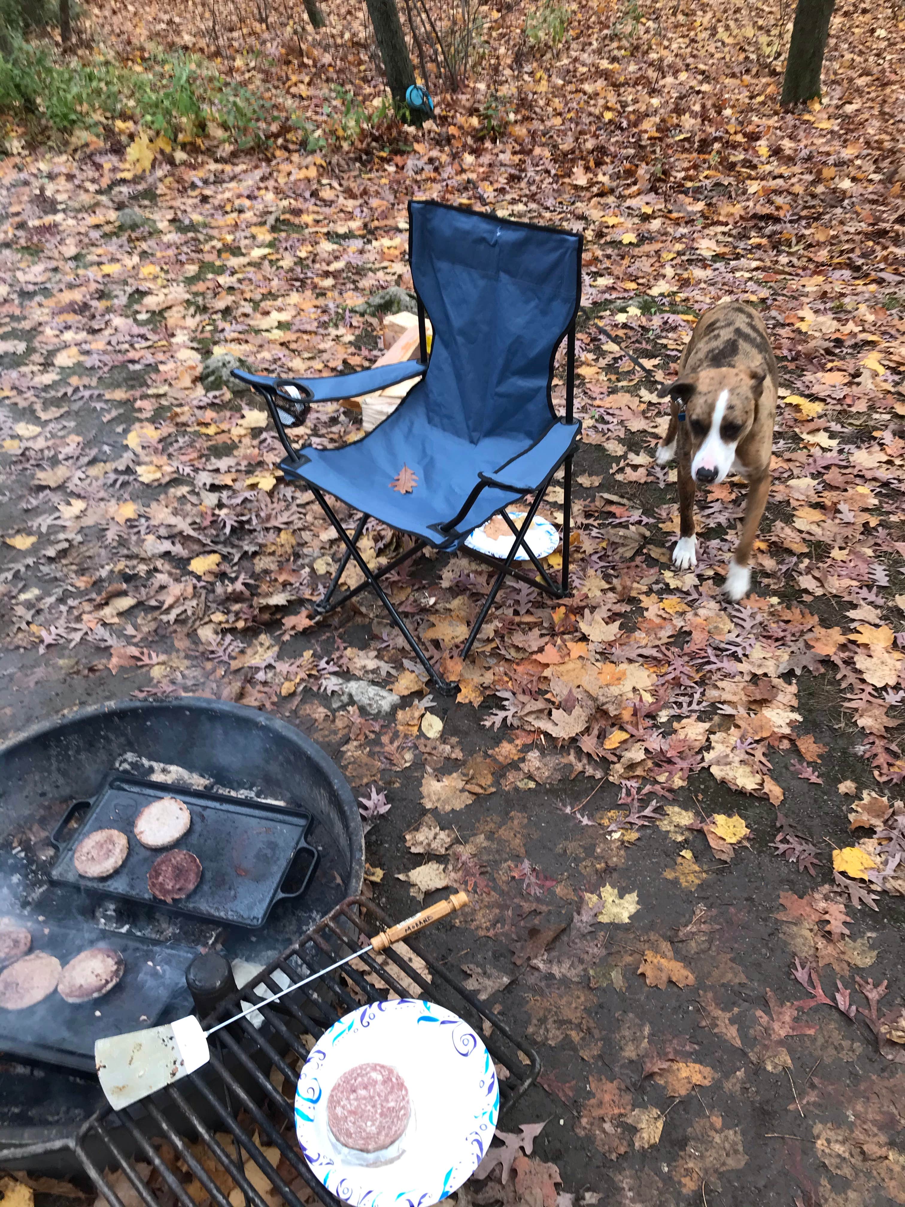 Charles M.'s photo of camping with pets at High Cliff State Park Campground near Appleton, WI