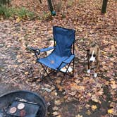 Review photo of High Cliff State Park Campground by Charles M., October 27, 2020