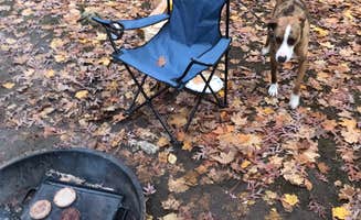 Charles M.'s photo at High Cliff State Park Campground near Appleton, WI