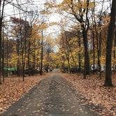 Review photo of High Cliff State Park Campground by Charles M., October 27, 2020