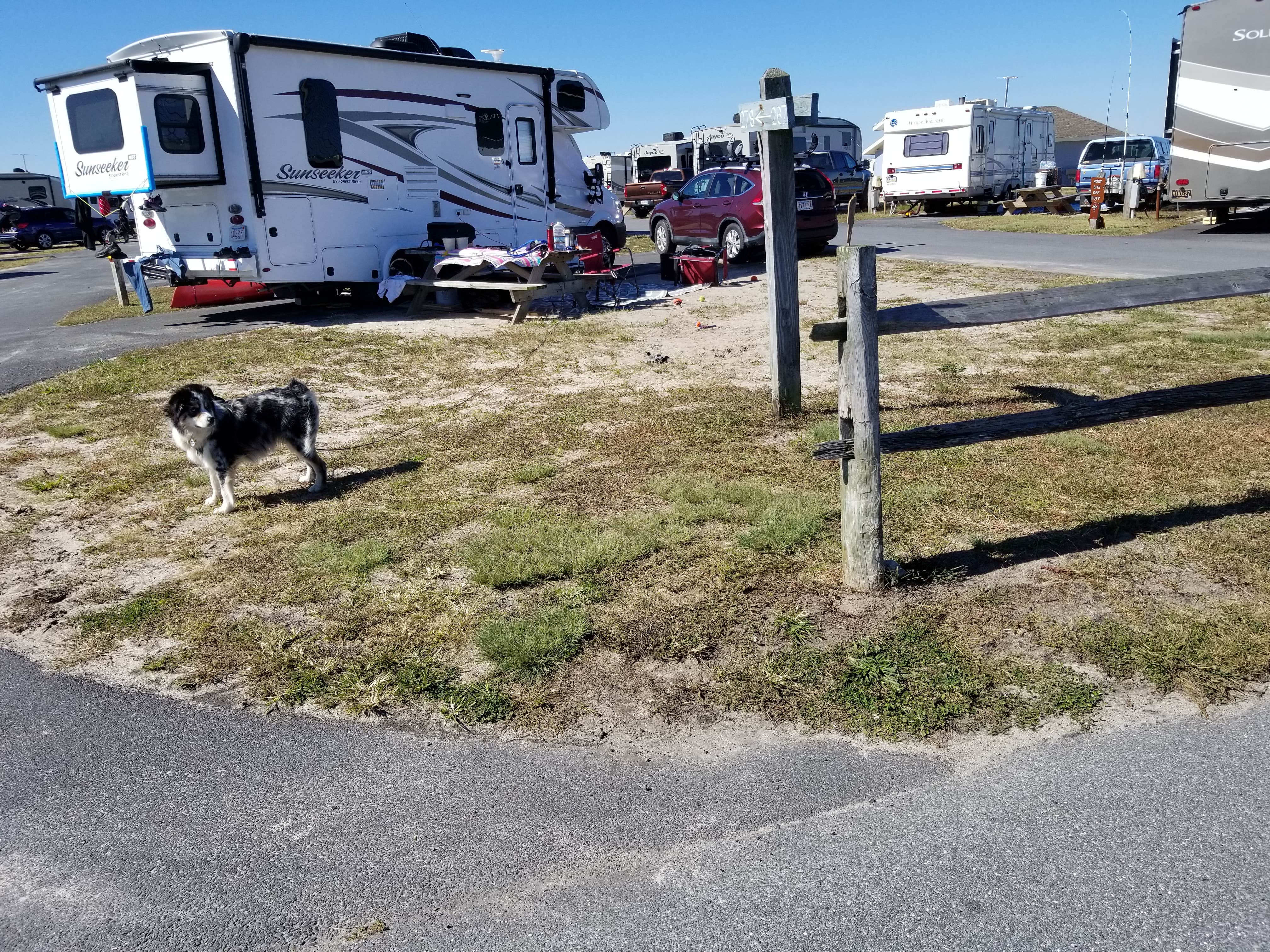 Barbara W.'s photo of rv camping at Delaware Seashore State Park Campground in Delaware