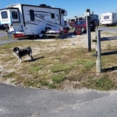 Review photo of Delaware Seashore State Park Campground by Barbara W., October 27, 2020